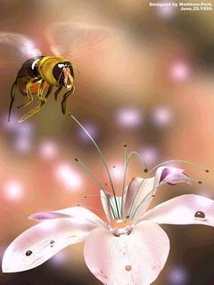 高清晰可爱蝴蝶,勤劳小蜜蜂,修长大蜻蜓 1784)