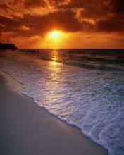 夏日海滩风景手机桌面图片 4347)