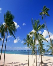 夏日海滩风景手机桌面图片 4341)