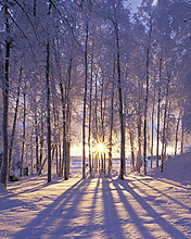 风景意境图，冬天的雪 6040)