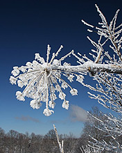 风景意境图，冬天的雪 6036)