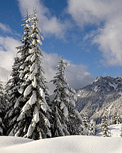 风景意境图，冬天的雪 6039)