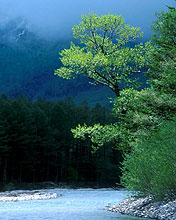 青山绿水风景风光图 6047)