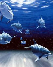 海底世界鱼类图片 6176)