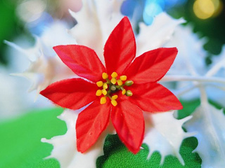 圣诞节鲜花饰品手机背景图 6954)