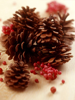 圣诞松果Christmas Pinecone! 7078)