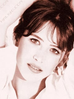 苏菲·玛索Sophie Marceau高清晰写真 9501)