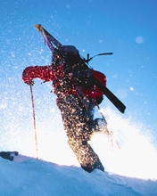 极限运动滑雪 10888)