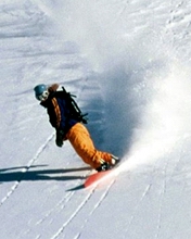极限运动滑雪 10891)