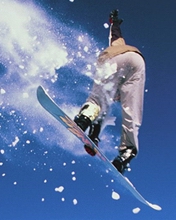 极限运动滑雪 10887)