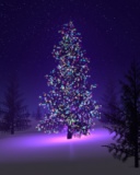 圣诞节漂亮的圣诞树 12703)