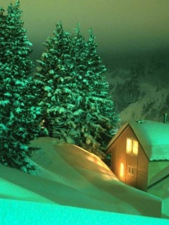 温馨梦幻漂亮雪景-雪中的小屋子 12739)