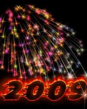 Happy New Year 2009! 12986)