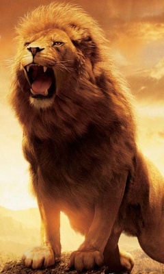 狮子王Lion King 14252)