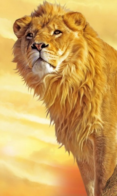 狮子王Lion King 14251)