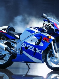 Suzuki GSX系列摩托车美图 14335)