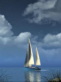海上的靓丽风景-帆船 14399)