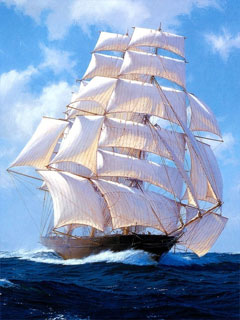 海上的靓丽风景-帆船 14395)