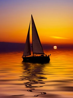 海上的靓丽风景-帆船 14401)