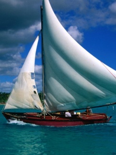 海上的靓丽风景-帆船 14402)
