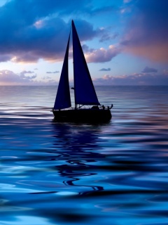 海上的靓丽风景-帆船 14397)