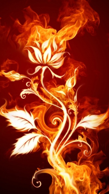 燃烧的火焰形成的花朵 14588)