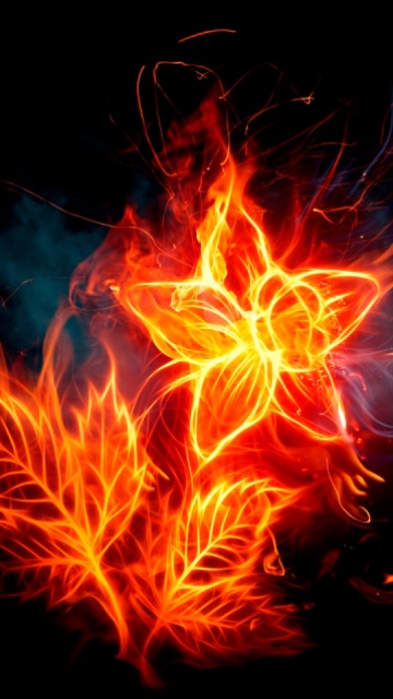 燃烧的火焰形成的花朵 14584)