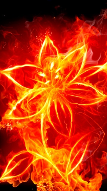 燃烧的火焰形成的花朵 14585)
