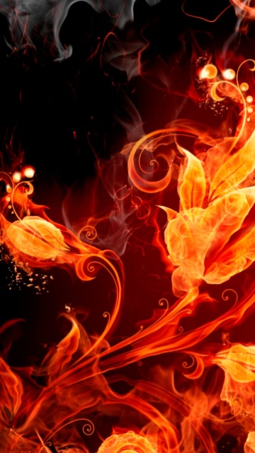 燃烧的火焰形成的花朵 14587)