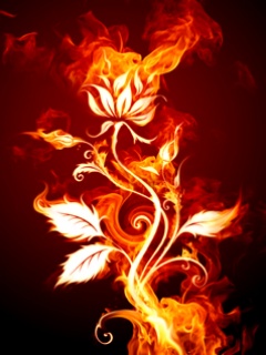 火焰中的花朵 14627)