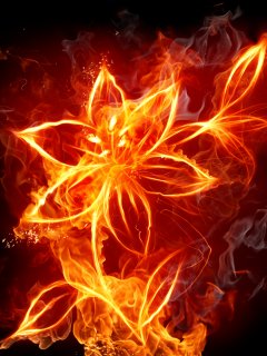 火焰中的花朵 14626)