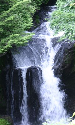 美丽怡人的瀑布风景 14875)