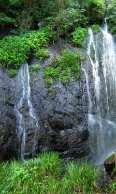 美丽怡人的瀑布风景 14874)