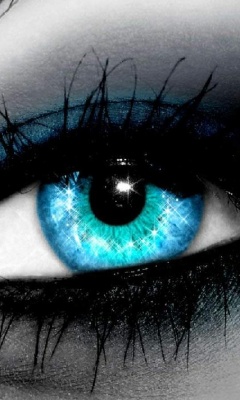 迷人的蓝眼睛 14926)