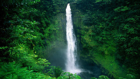 夏威夷岛的阿卡卡大瀑布 17757)