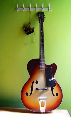 各式各样的吉他 19478)