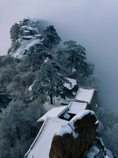 美丽的雪山风景 20786)