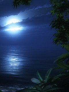 美丽的月亮月光手机图片 23318)