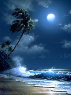 美丽的月亮月光手机图片 23317)