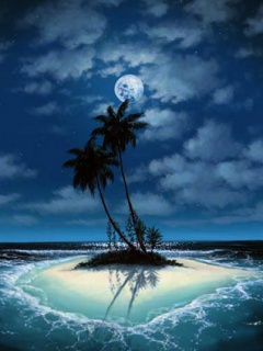 美丽的月亮月光手机图片 23315)