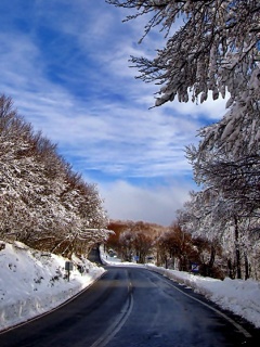 我们这里下雪了，2009年的第一场雪！ 23322)