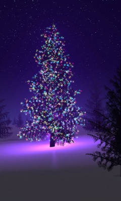 一些布置得非常漂亮的圣诞树 23866)