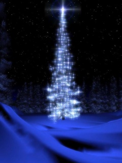 圣诞节最主要标志物漂亮的圣诞树 23906)