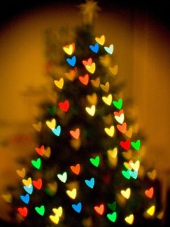 圣诞节最主要标志物漂亮的圣诞树 23910)