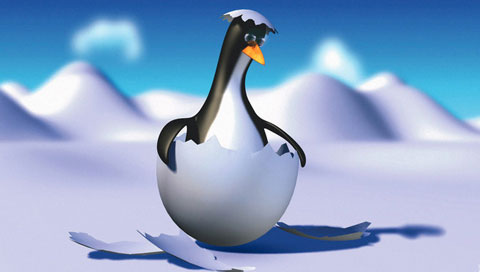 刚出壳的小企鹅3D画PSP壁纸 25146)