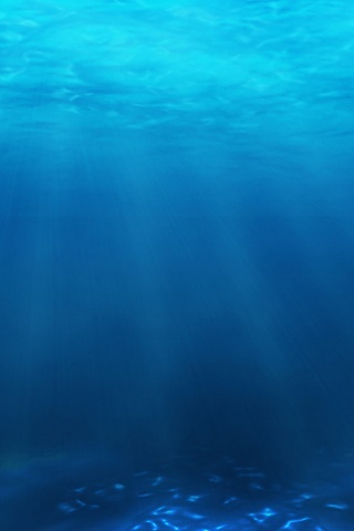蓝蓝在大海深处手机桌面 26384)