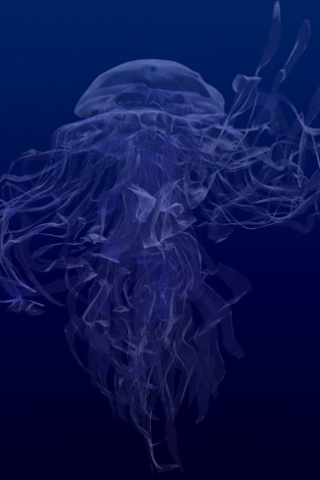 漂亮的深海水母320x480壁纸 26389)