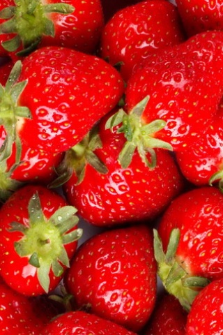 红红的草莓果实 26550)
