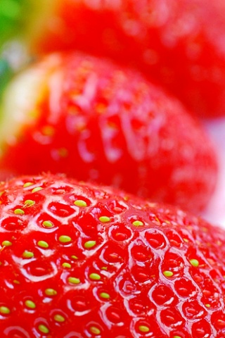 红红的草莓果实 26549)