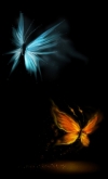 艺术设计图蝴蝶